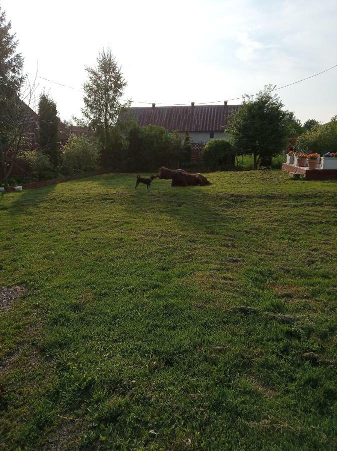 Olszyna  B&B Zrodlana 46 מראה חיצוני תמונה