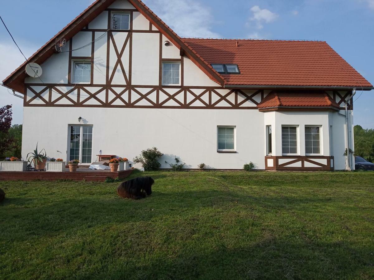 Olszyna  B&B Zrodlana 46 מראה חיצוני תמונה